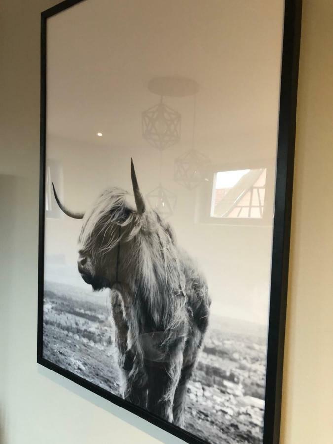 Gite Wellness Le Six H Andolsheim Exteriör bild