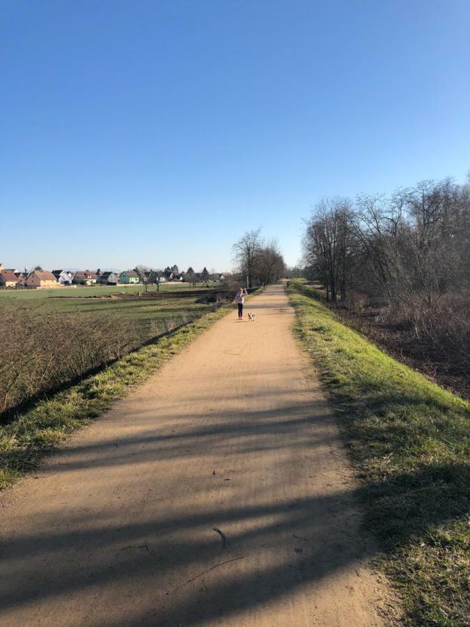 Gite Wellness Le Six H Andolsheim Exteriör bild
